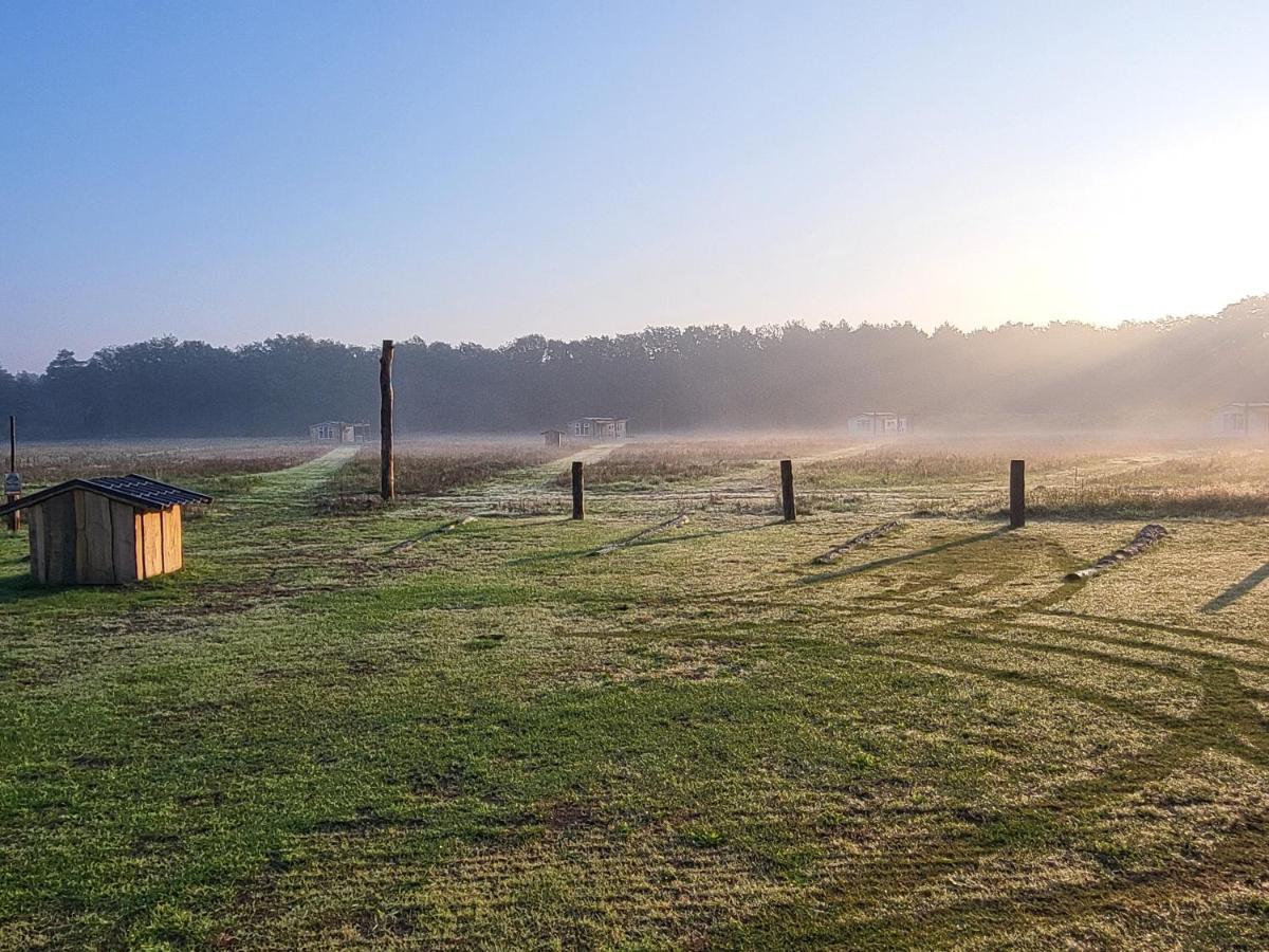Hoeve Twente - De Buizerd Villa Heythuysen ภายนอก รูปภาพ