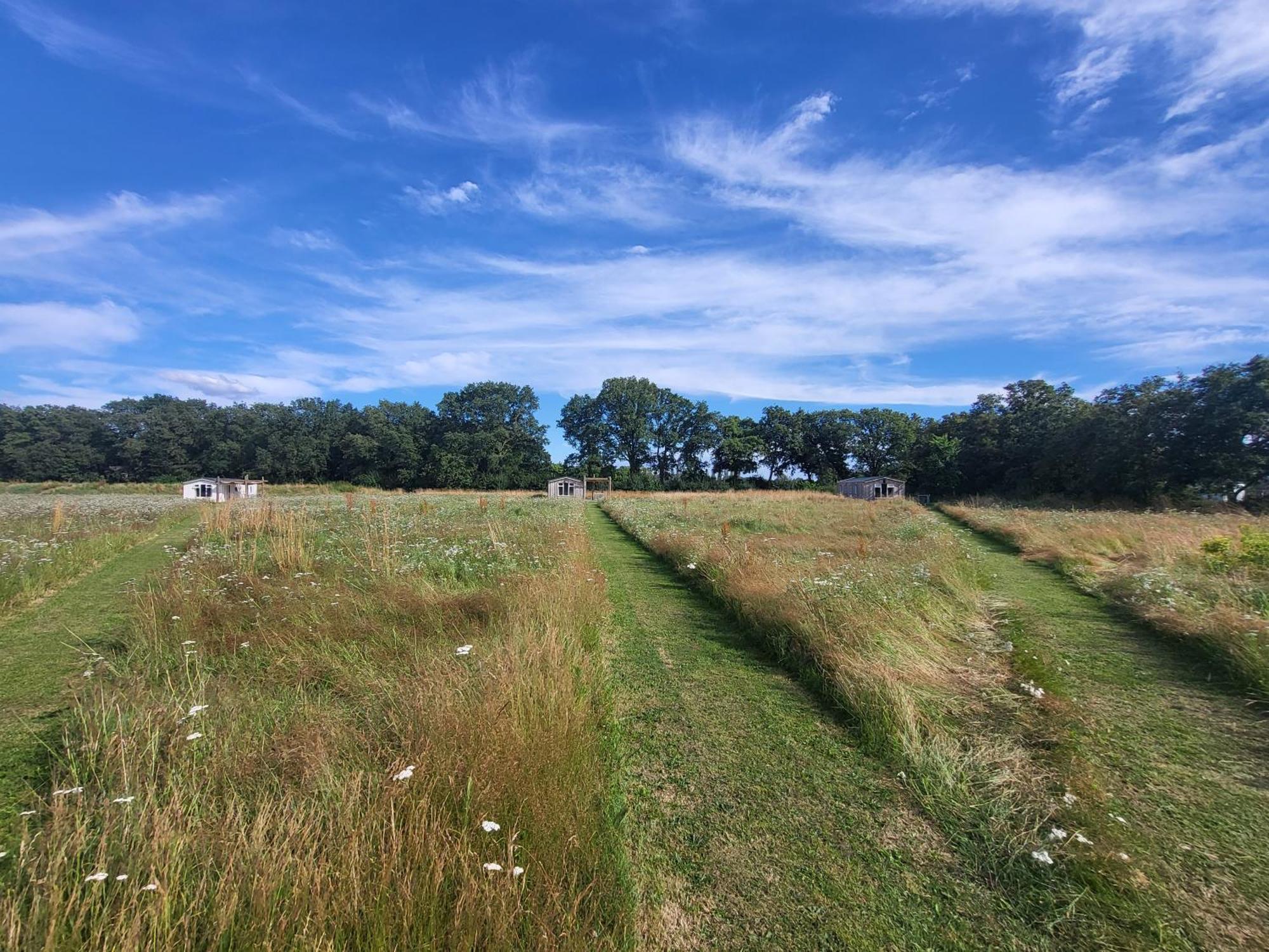 Hoeve Twente - De Buizerd Villa Heythuysen ภายนอก รูปภาพ