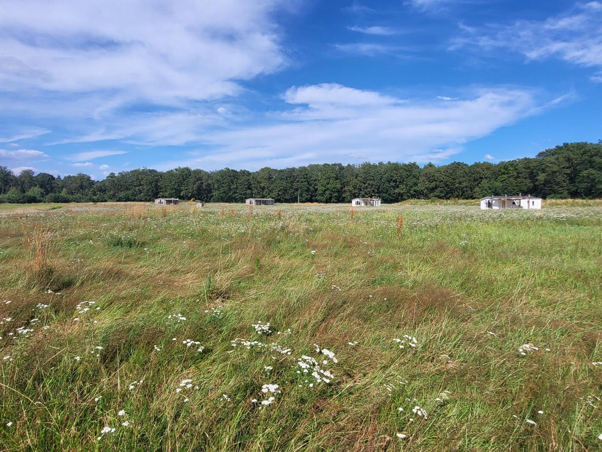 Hoeve Twente - De Buizerd Villa Heythuysen ภายนอก รูปภาพ